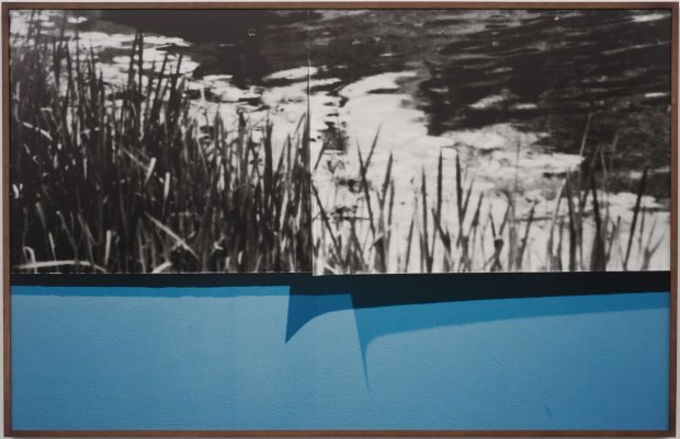 Anthony Lepore, Riverbank, 2010