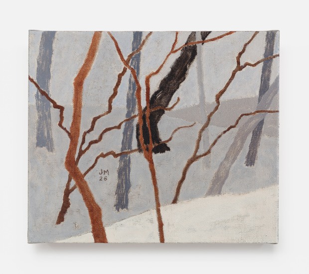 James Morse, Panes of Winter, 2026