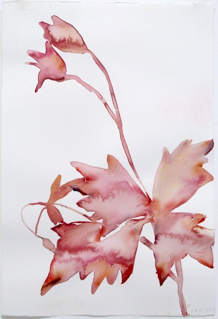 Kim McCarty, April 2, 2009 PM, 2009