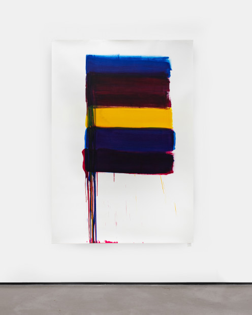 Phil Chang, Replacement Ink for Epson Printers (Cyan, Vivid Magenta, Yellow, Light Vivid Magenta, and Light Cyan 507201) on Epson Exhibition Canvas Matte, 2022