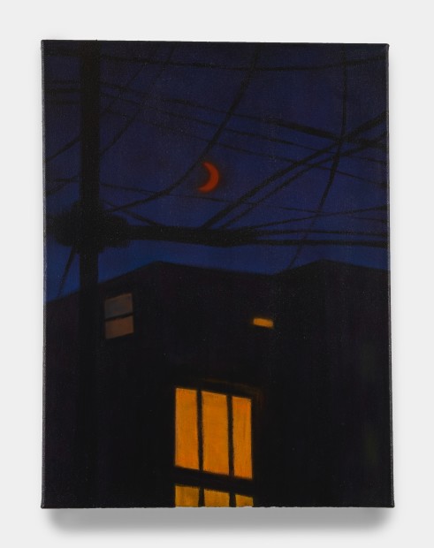 Sung Hwa Kim, Nocturne: And we follow the night looking for the light, 2021