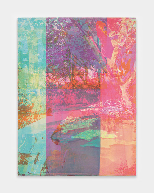 Zoe Walsh, Red meadows, 2023