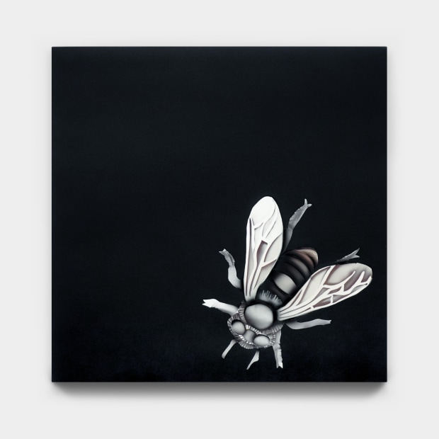 Kara Joslyn, These Violent Delights Have Violent Ends (No Exit Again), 2023