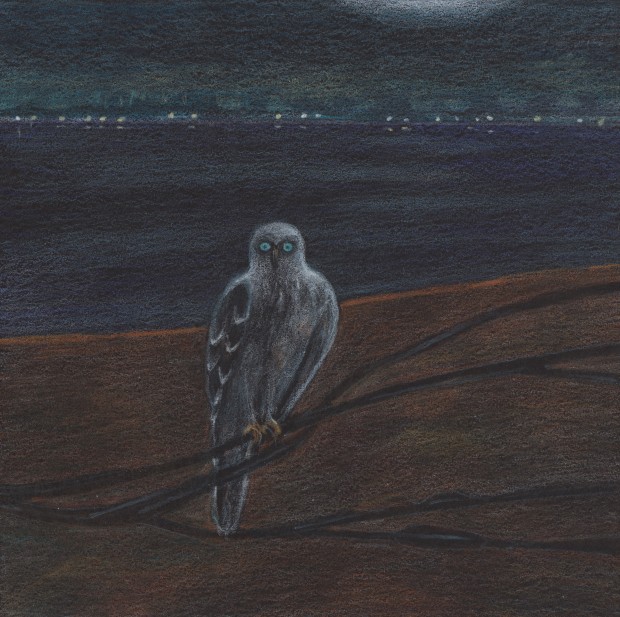 Elizabeth Shull, Queen's Necklace, 2020