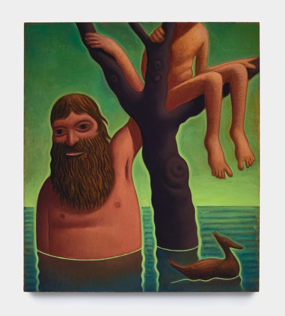 Nat Meade, Merganser, 2024