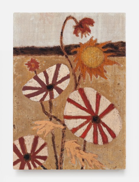 James Morse, Prairie Stars, 2026