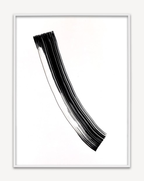 Phil Chang, Replacement Ink for Epson Printers (Black 172202) on Epson Premium Luster Paper, 2014