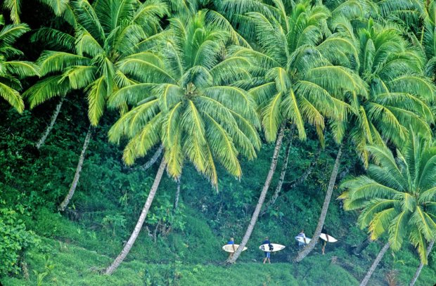 Jeff Divine, E Bay, Mentawai, Sumatra, Indonesia, 2001