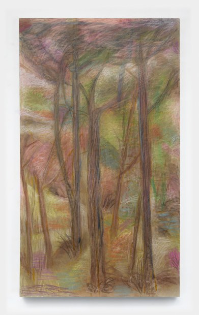 Eric Dwight Hancock, Piney Wood Path, 2024