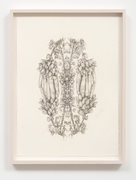 Aurel Schmidt Untitled (Rorschach Flowers 1) pencil, colored pencil on paper paper size: 20-1/2 x 15-1/4 inches framed size: 23...