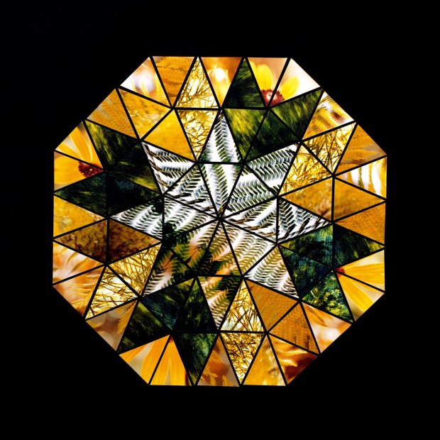 Lisa Eisner Matchstick Cross Fujiflex c-print assemblage mounted to plexiglass in oak frame 24 x 24 inches