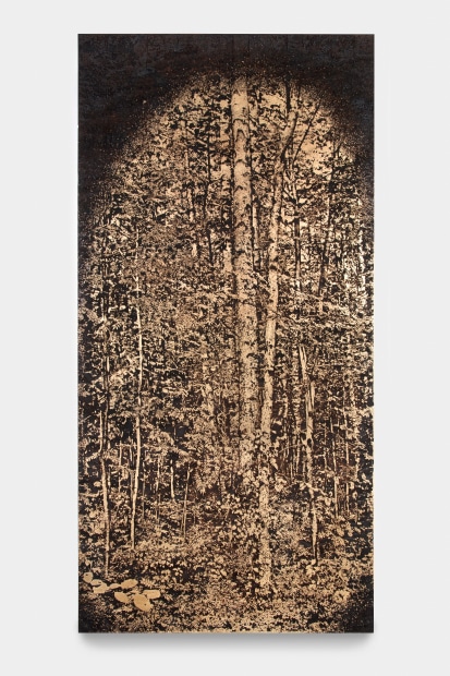 Matthew Brandt, Birch SP014B, 2021