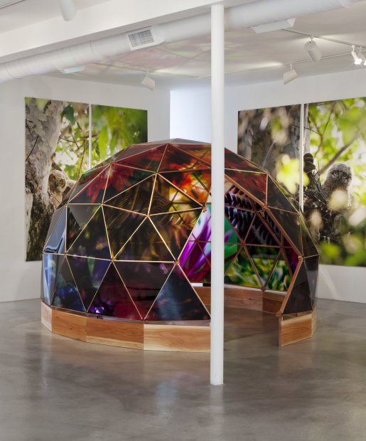 Lisa Eisner Psychonaut Dome clear Fujiflex c-prints, laminate, plexiglass, redwood and scent 140 x 140 x 98 inches