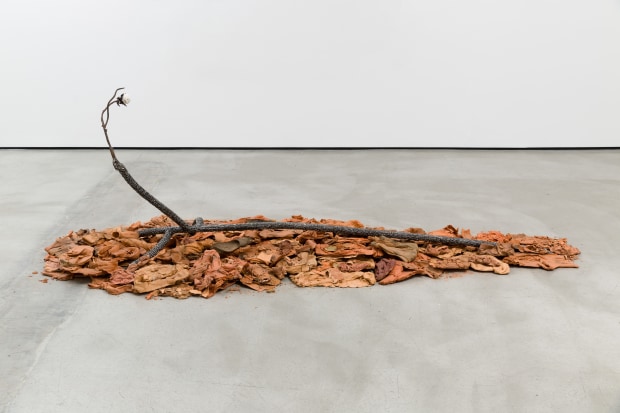 Tyler Christopher Brown, Pungent Legacy of a Cherry Tree, 2023