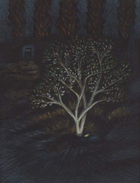 Elizabeth Shull, Knowing, 2021