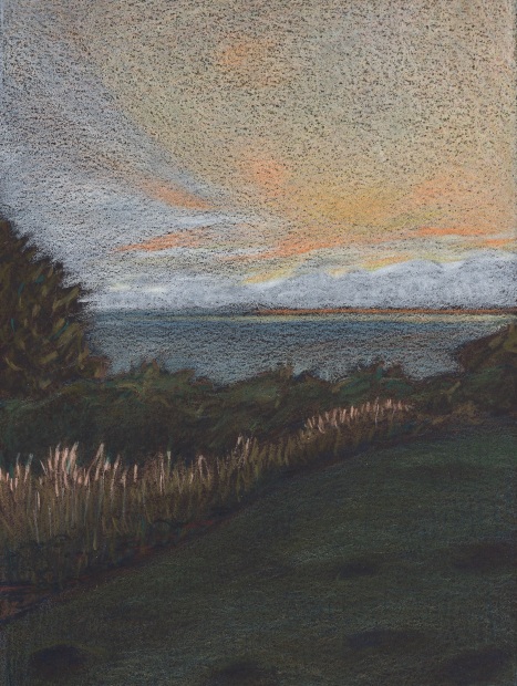 Elizabeth Shull, Fall, 2020