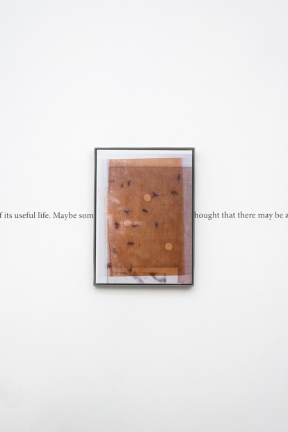 Jesse Stecklow, Untitled (Fly Tapes: Trios, Passive Collect), 2014