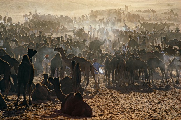 Ernst Haas, Camel Fair, Pushkar, Rajasthan, 1972
