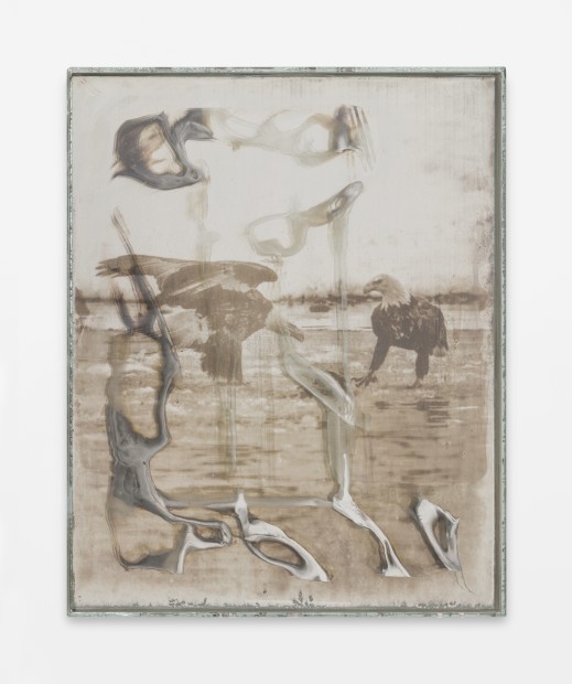 Matthew Brandt, Eagles 87B, 2017-2019