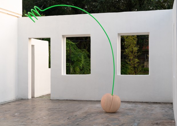 Nevine Mahmoud, Cherry Viçosa (lush cherry), 2019