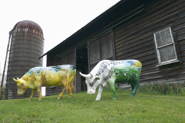 E. Tilly Strauss, Two cows, 2006
