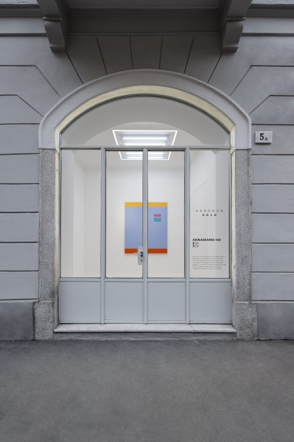 'Box Box' includes works from Annamarie Ho's ongoing series: Tute and Home Depot Paintings, both of which conceptually and formally...