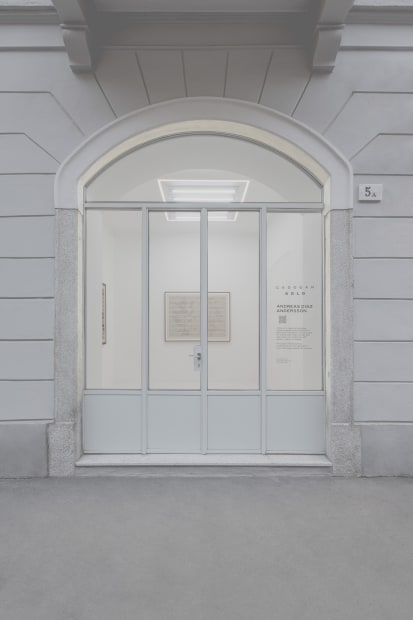 Flora, Andreas Diaz Andersson's new exhibition, explores the intersection of nature, classification, and form, drawing from the work of Swedish...