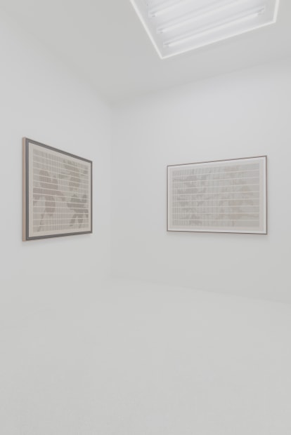 Flora, Andreas Diaz Andersson's new exhibition, explores the intersection of nature, classification, and form, drawing from the work of Swedish...