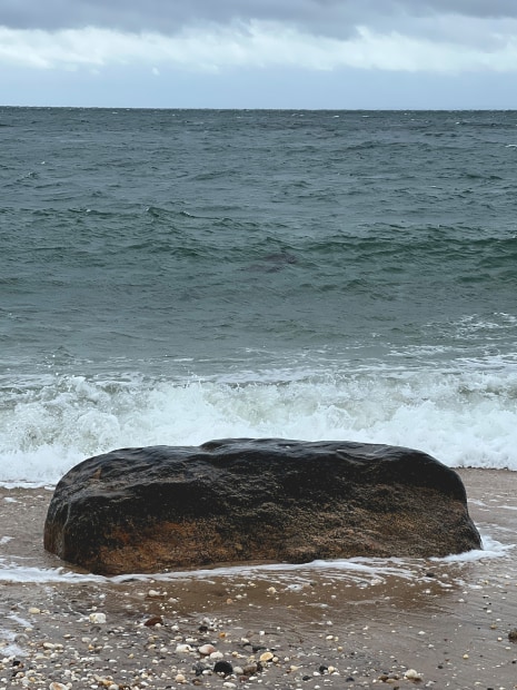 Each painting has its own story to tell. From the primordial expanse of ‘Durdle Door’, with soft layers of forms...