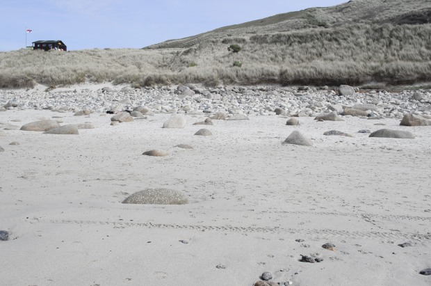 Each painting has its own story to tell. From the primordial expanse of ‘Durdle Door’, with soft layers of forms...