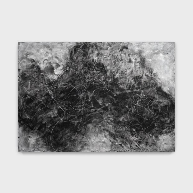 Elliott Puckette Roke, 2024 ink, gesso and kaolin on wood panel 58 3/4 x 84 inches 149.2 x 213.4 cm