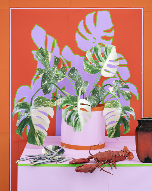 Daniel Gordon Philodendron with Sardines and Lobster, 2023 pigment print with UV lamination 49 7/8 x 40 inches 126.7 x...