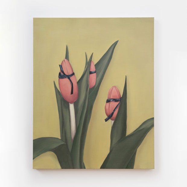 Lyn Liu Tied tulips, 2024 oil on linen 50 x 40 inches 127 x 101.6 cm