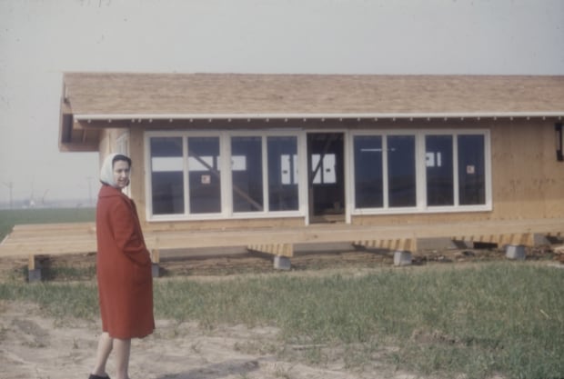 Freilicher’s abstractions have their roots in observation, informed by her studies with legendary abstract painter Hans Hofmann at his schools...