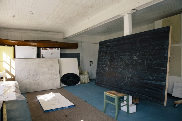 Puckette’s committed and meticulous study of this particular formal strategy has been lifelong. Painting was considered in decline during her...