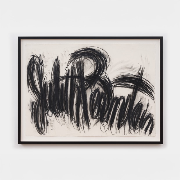Judith Bernstein Signature, 1995 charcoal on paper 29 1/2 x 41 1/2 inches 74.9 x 105.4 cm