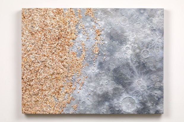 Roxy Paine Lunar Parchment Fungus, 2021 wood, epoxy, lacquer, oil paint 45 x 60 x 6 inches 114.3 x 152.4...