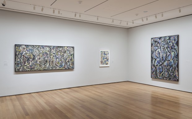 Born in Wyoming and raised in Arizona and California, Pollock arrived in New York in 1930 and studied with muralist...