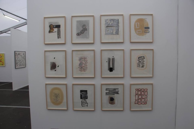 Agnes Maes