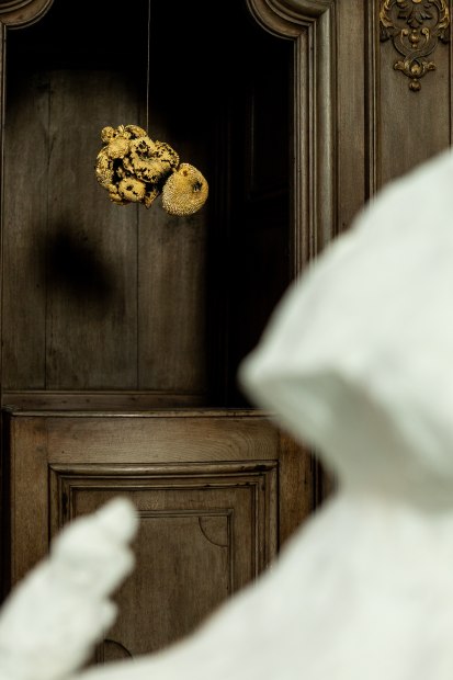 photo by Studio23