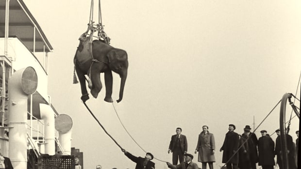 Johan Grimonprez, Soundtrack to a Coup d'Etat, 2024 | Elephant Cargo © British Pathé