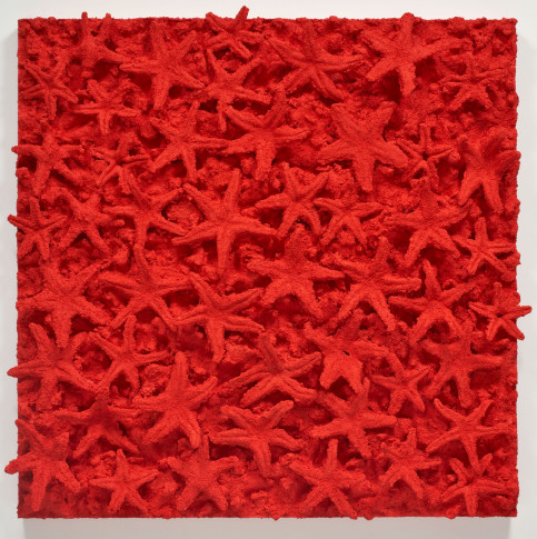 <span class="title">Red Sea (Large)<span class="title_comma">, </span></span><span class="year">1993</span>
