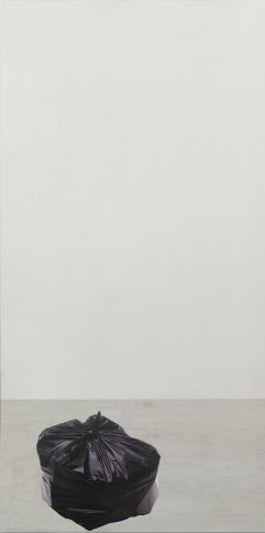 <span class="title">Pistoletto's Trash<span class="title_comma">, </span></span><span class="year">2018</span>