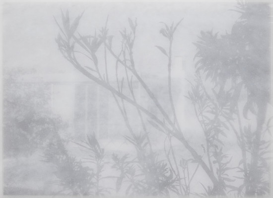 Alex Hartley, Grace Miller House (North Elevation), 2018
