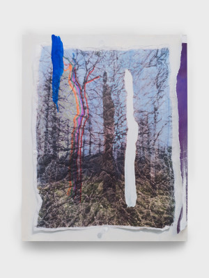 Sarah Sze, Afterimage, Three Dead Trees (Painting in its Archive), 2018