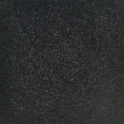 Yayoi Kusama, INFINITY-BLACK-NETS, 2015