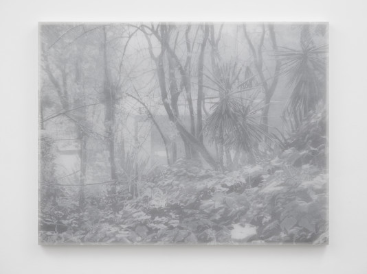 Alex Hartley, Case Study #21 Bailey House, 2018