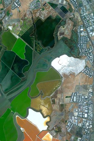Silicon Valley, California, United States of America 2009-10