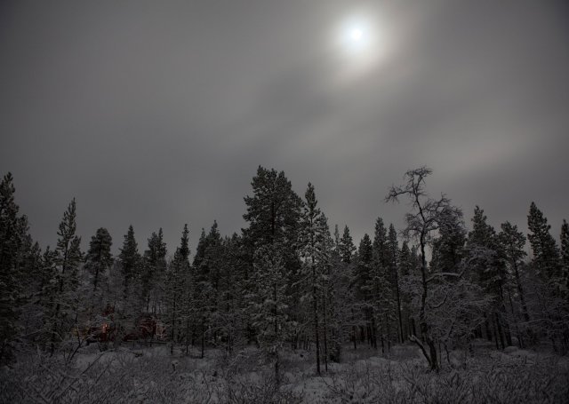 Lapland Winter Moonlight