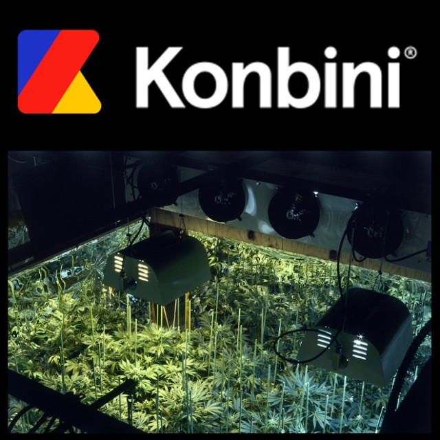 Konbibi